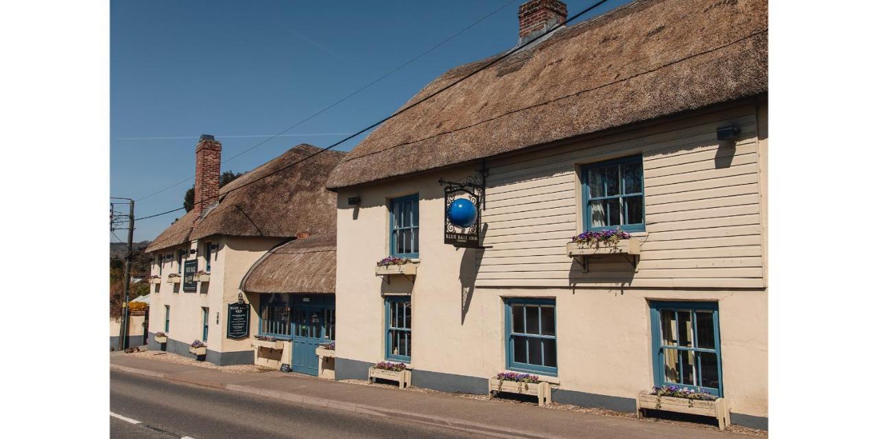 The Blue Ball Inn Sidmouth Eksteriør billede